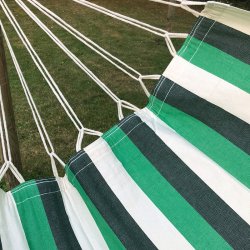 Vidunderlig grnstribet hngekje