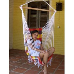 Iparana h&aelig;ngestol i tern